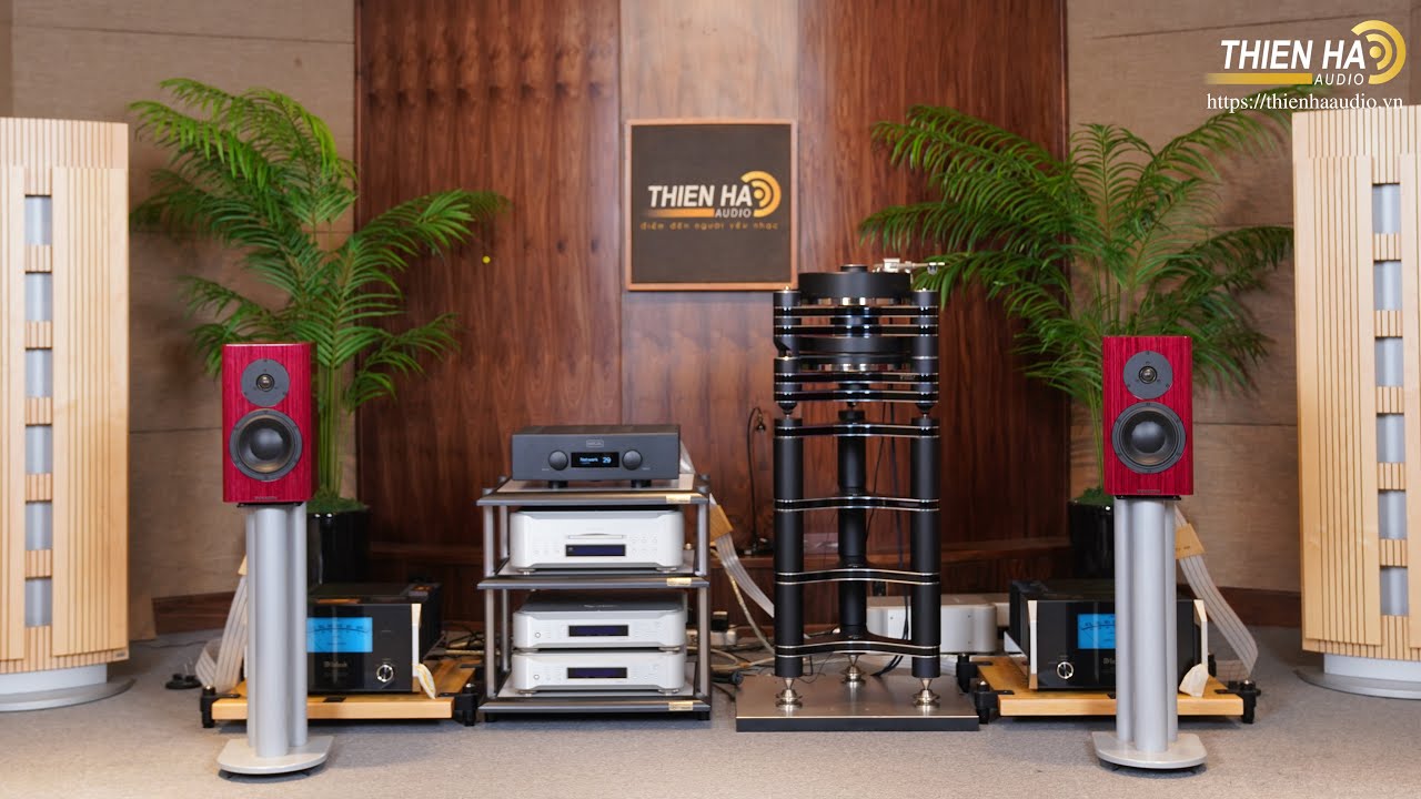Loa Dynaudio Special Forty + Hegel H390 - Cảm Xúc Thăng Hoa