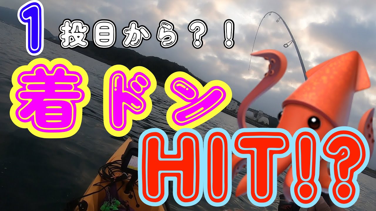 1投目から着ドンイカ🦑？！　#ティップラン #釣り #カヤックフィッシング #カヤック #kayakfishing #hobie #エギング