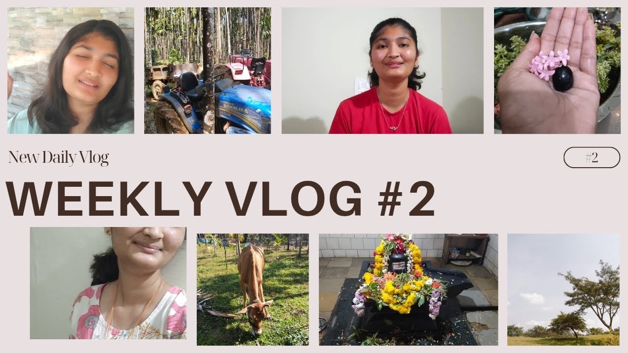 Weekly vlog 2🤍