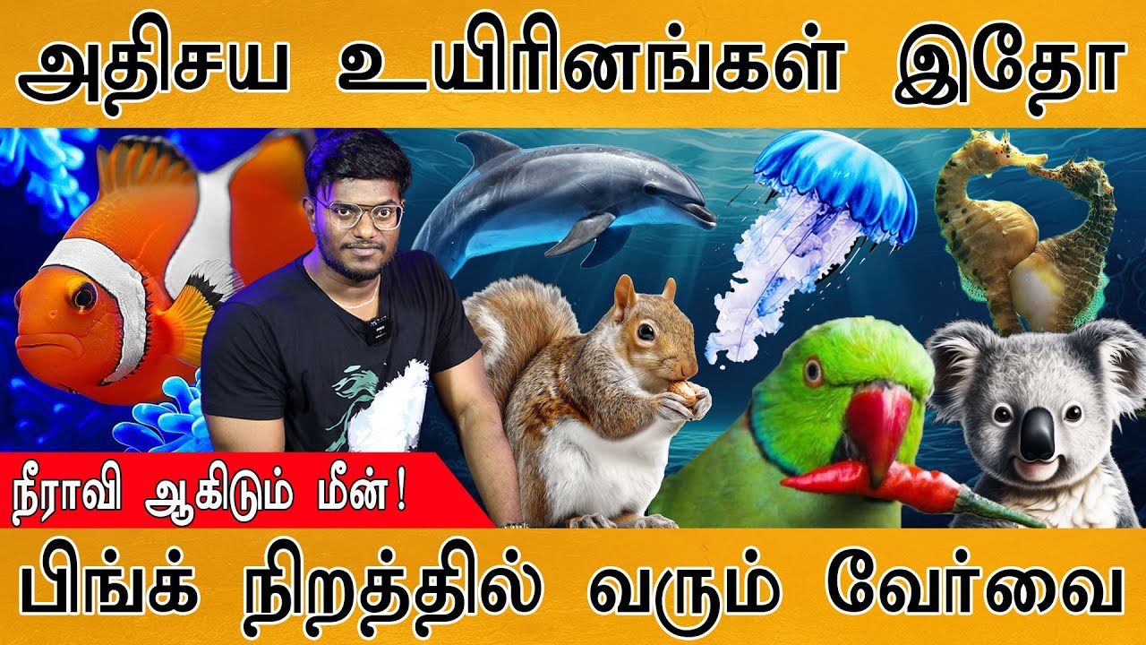 🐿️அதிசய உயிரினங்கள் இதோ! | நீராவி ஆகிடும் மீன்! | பிங்க் நிறத்தில் வரும் வேர்வை | Amazing Creatures!