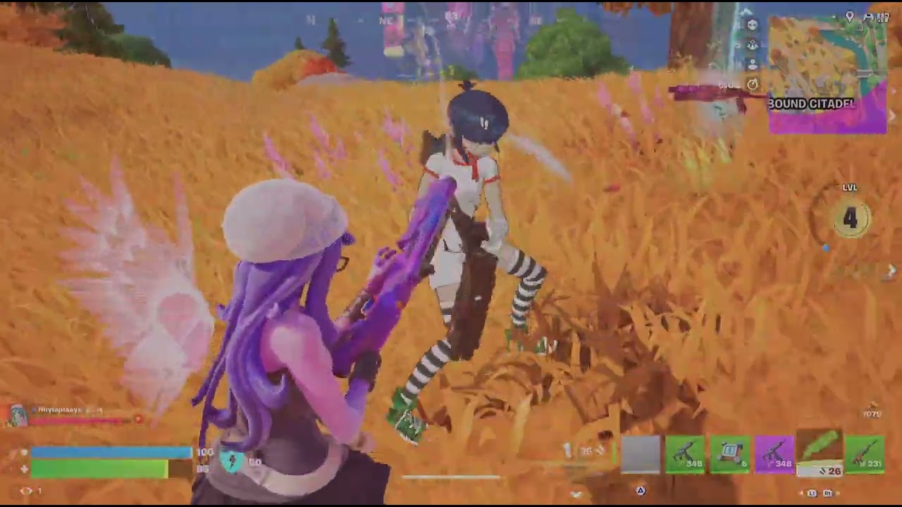 Fortnite_20260127202844