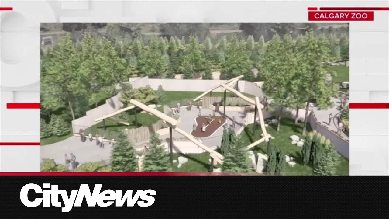 В Калгарийском зоопарке и Институте Уайлдера откроется новое крыло под названием &laquo;Азиатские высок...