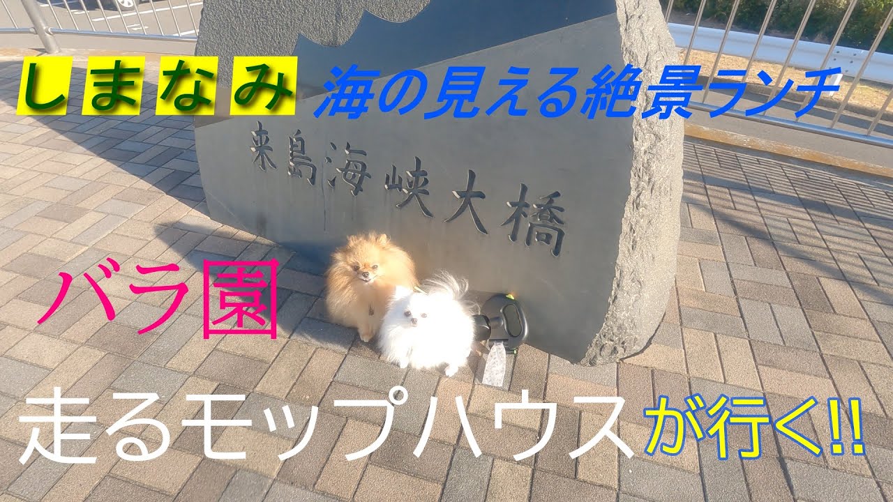 走るモップハウス【バンコン】しまなみ街道探索の巻