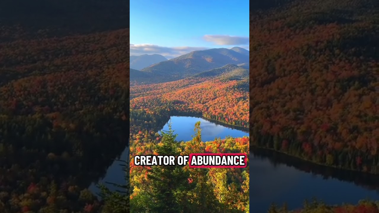 Aligned & Abundant I am a powerful creator of joy and abundance within me, around me, and beyond me