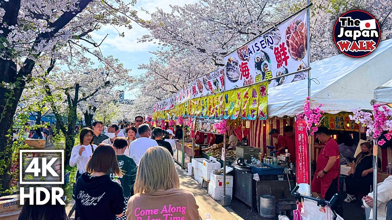 Japan Sakura Walk &ndash; Walking Through Cherry Blossoms in Full Bloom | Osaka | 4K HDR