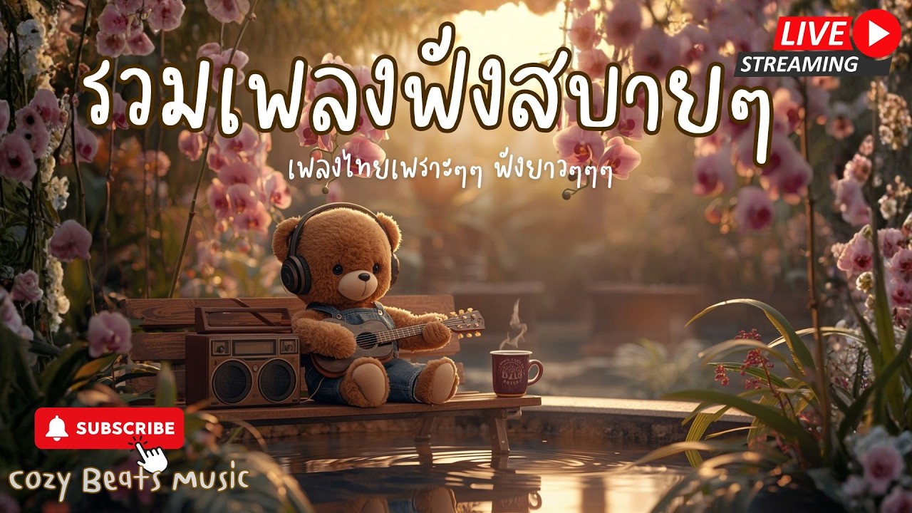 Live Cozy Beats Music 23-02-2026