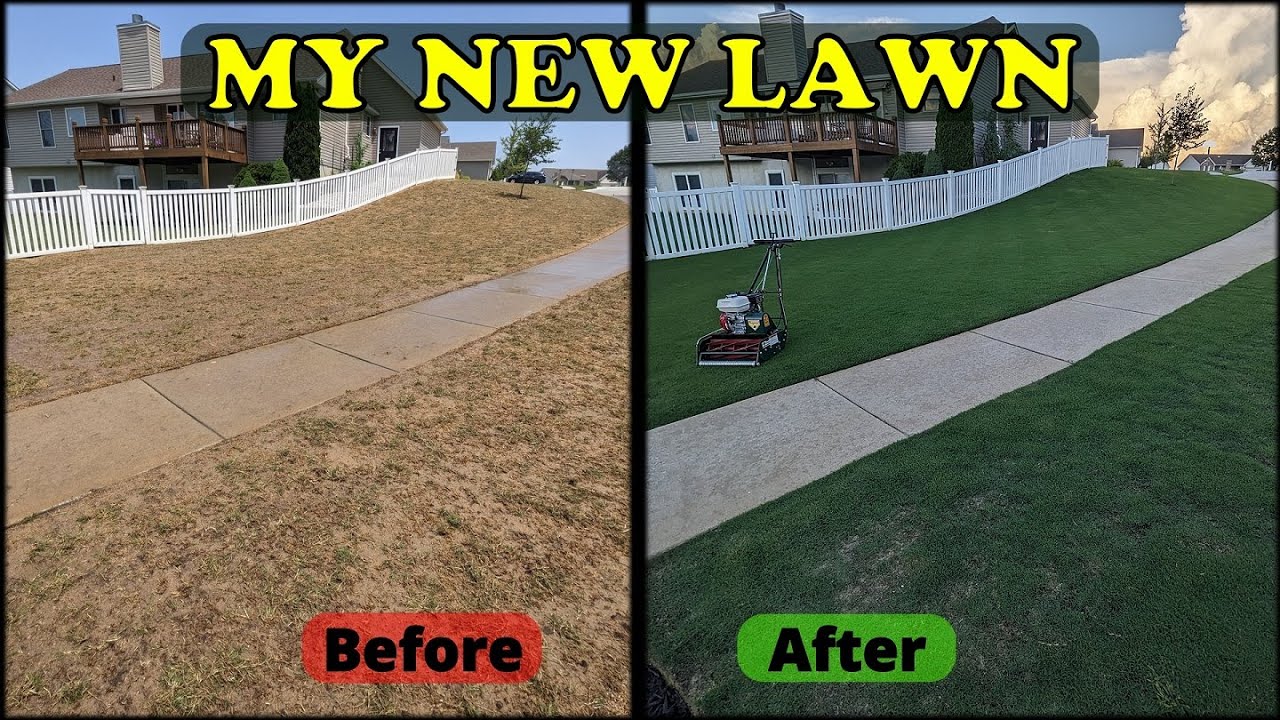 Growing A NEW Lush Lawn from Bermuda Sprigs