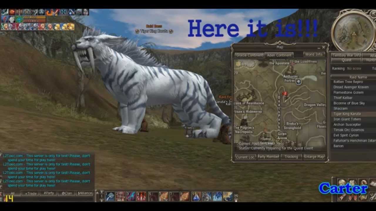 Road to Tiger King Karuta 45 lvl