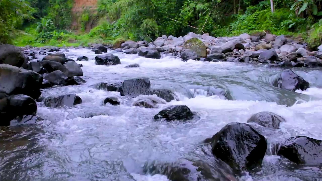 Mountain River Gentle Water Flow | Relaxing Nature Sounds for Stress Relief and Sleep