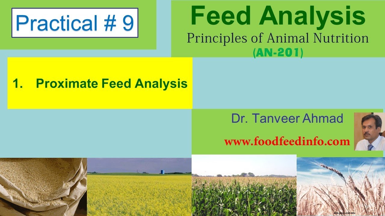 Practical#9 - Proximate Feed Analysis
