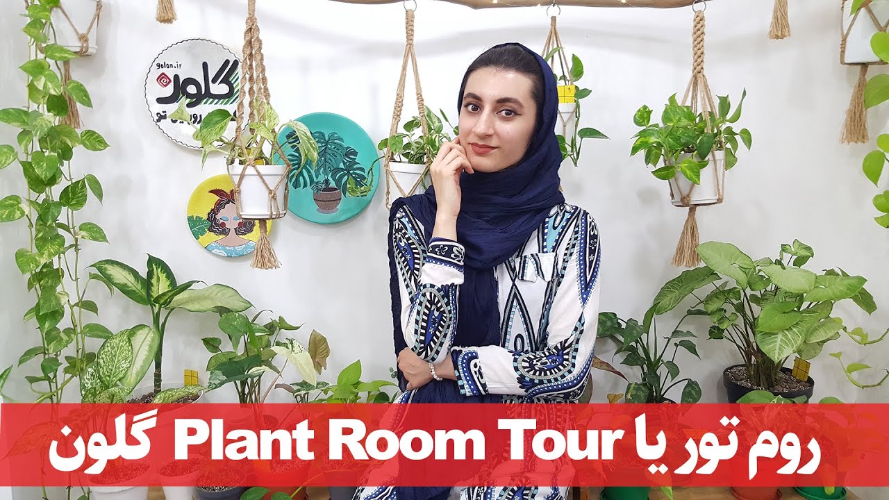 بخشی از گیاهان آپارتمانی ما در دفتر کار گلون( Plant Room Tour)