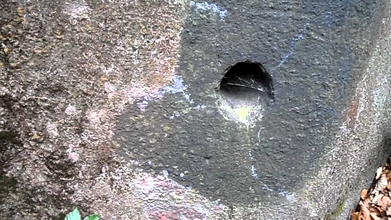 Dvouposchoďov&yacute; řop&iacute;k by mr. Invekto...