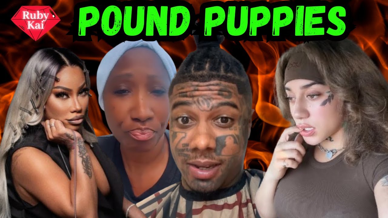 Blueface & Karlissa DRAG Hazel E‼️Karlissa Gets EXPOSED‼️Hazel E GOES OFF on Blueface & Karlissa‼️🎪🤡