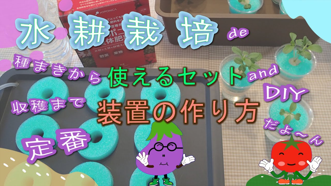 【水耕栽培】種まきから収穫まで使える材料と定番装置の作り方　　家庭菜園やベランダ菜園、室内栽培などDIYで工作した容器に液肥（ハイポネックス、ハイポニカ）を希釈した溶液で野菜を育てる。