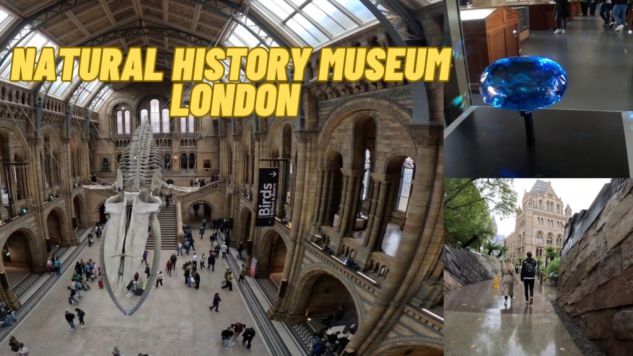 [4K] Natural History Museum london Walking Tour