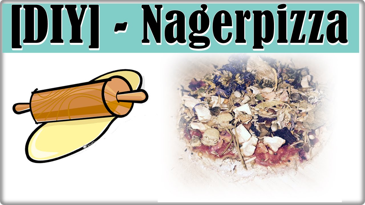 DIY - Nagerpizza Rezept || Leckerlis zum selber backen || Lecker, gesund & g&uuml;nstig