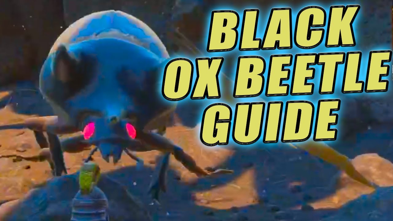 NEW BUGS IN GROUNDED Updated Black Ox Beetle Walk Through NEW Grounded Update