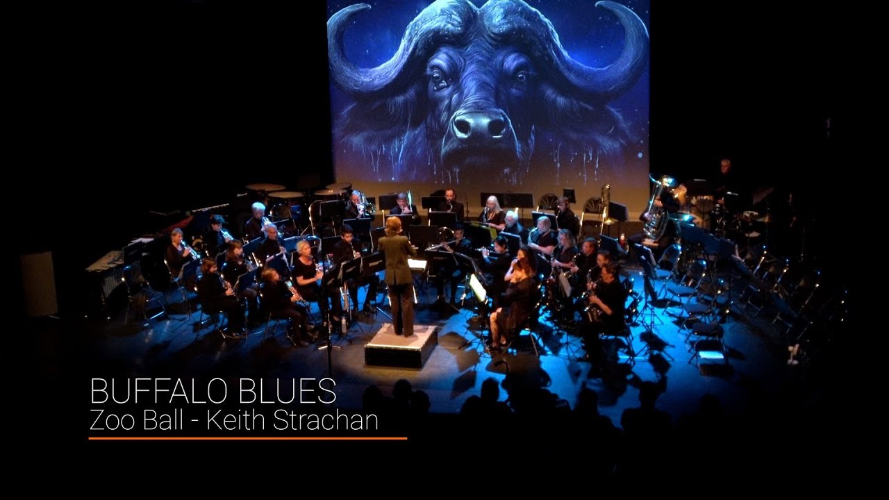 Zoo Ball -  Buffalo Blues (Keith Strachan)