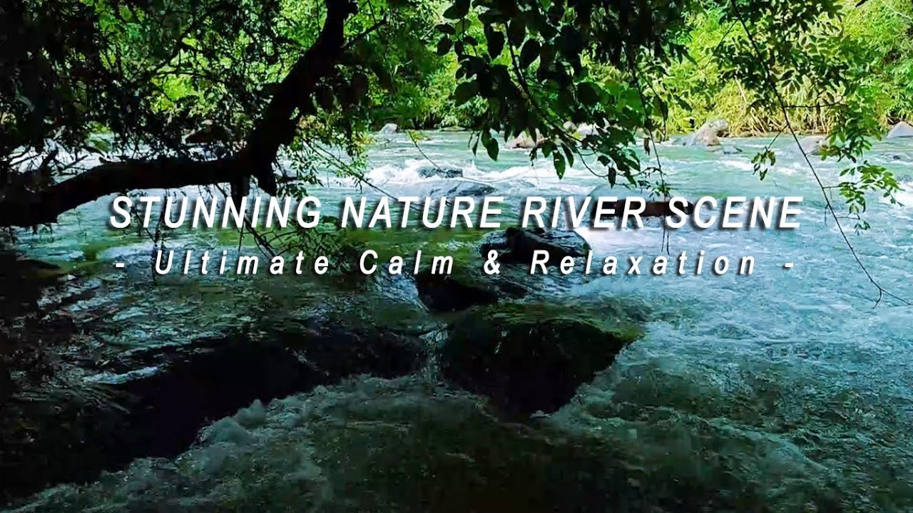 Stunning Nature River Scene – Ultimate Calm & Relaxation