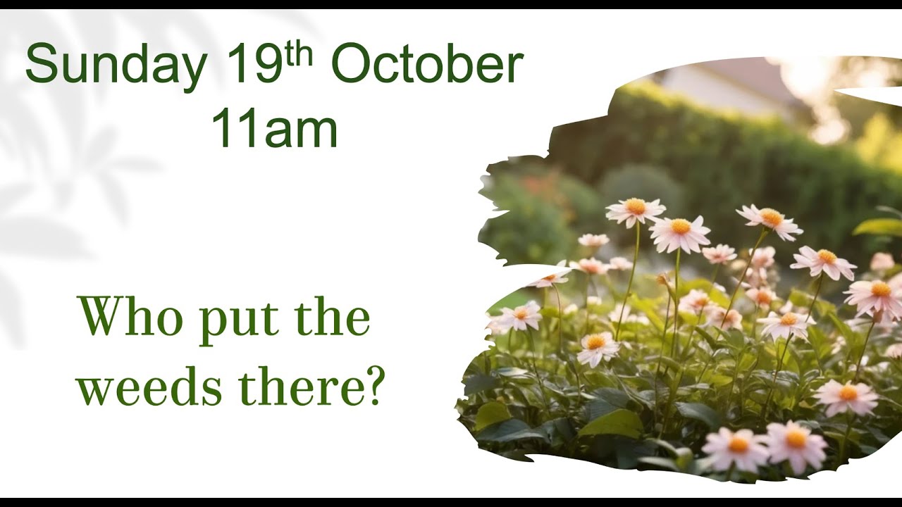 Sunday 19th October 2025