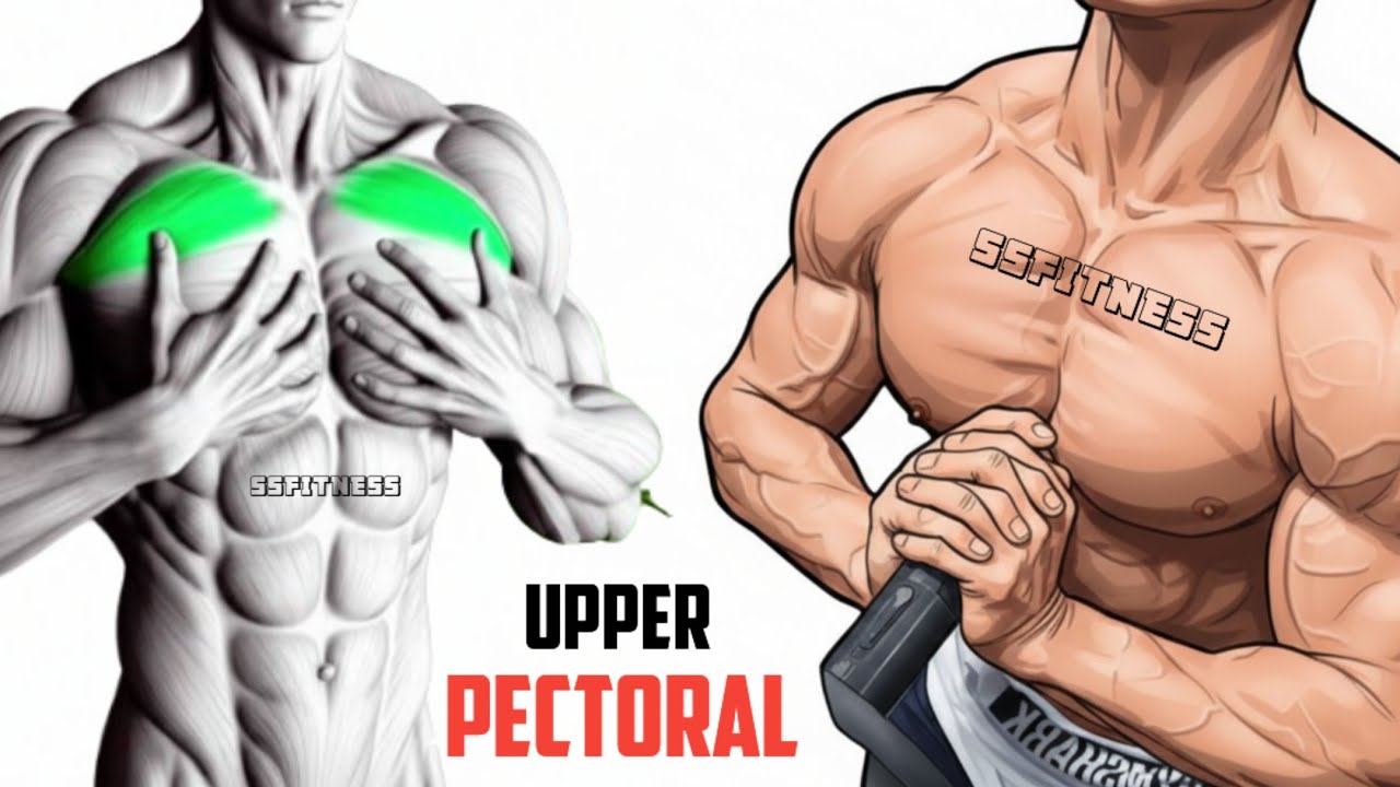 8 Best Exercises To Build Upper Pectoral
