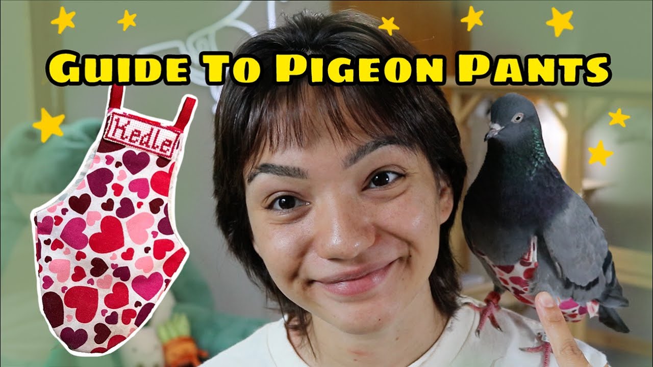 Что такое подгузники Pigeon? | Руководство по подгузникам Pigeon
