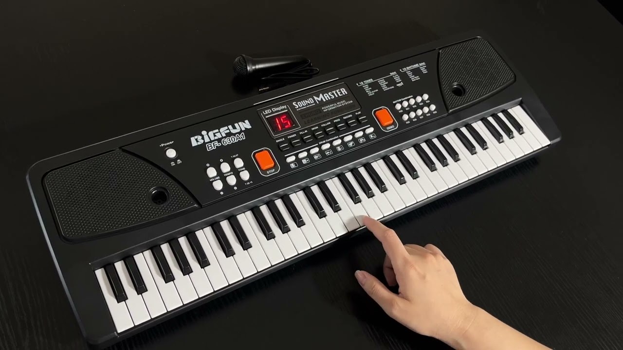 BIGFUN 61 Keys  Electronic Organ