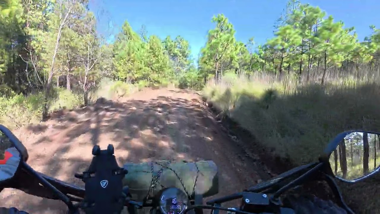 4 de febrero de 2026