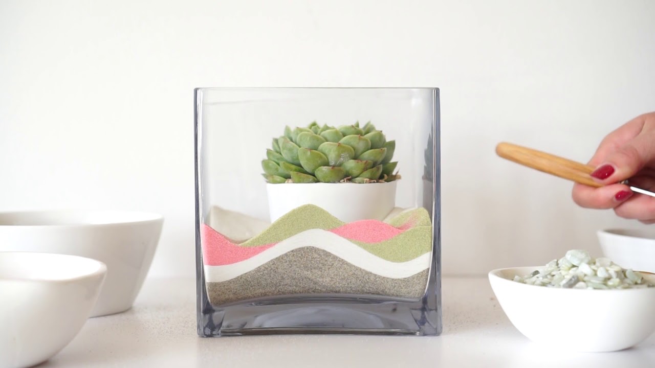 How to Make a Layered Sand Terrarium
