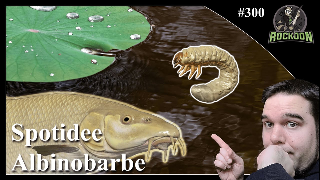 Der Albino am Bärensee | Russian Fishing 4 | #koontainment