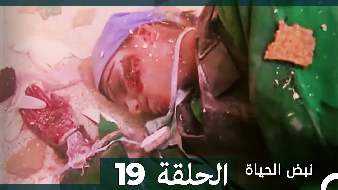 نبض الحياة - الحلقة 19 Nabad Alhaya (Arabic Dubbed)