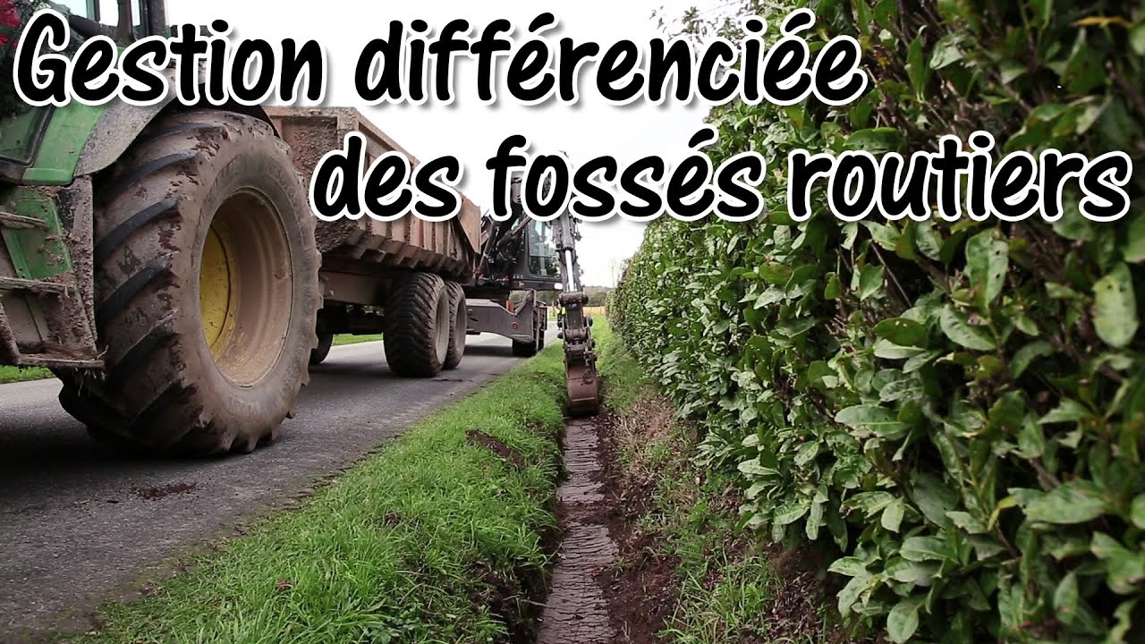 Une gestion différenciée des fossés routiers