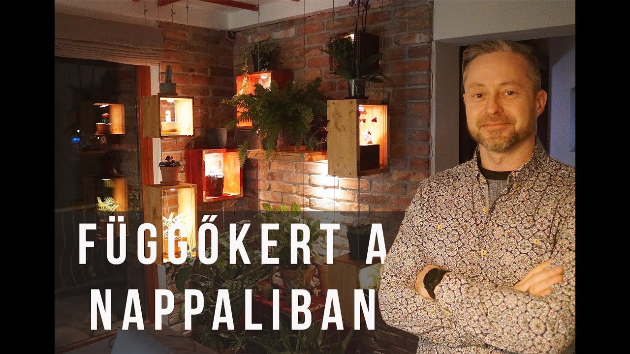 Különleges növénysarok anti-gravitációs polcokkal