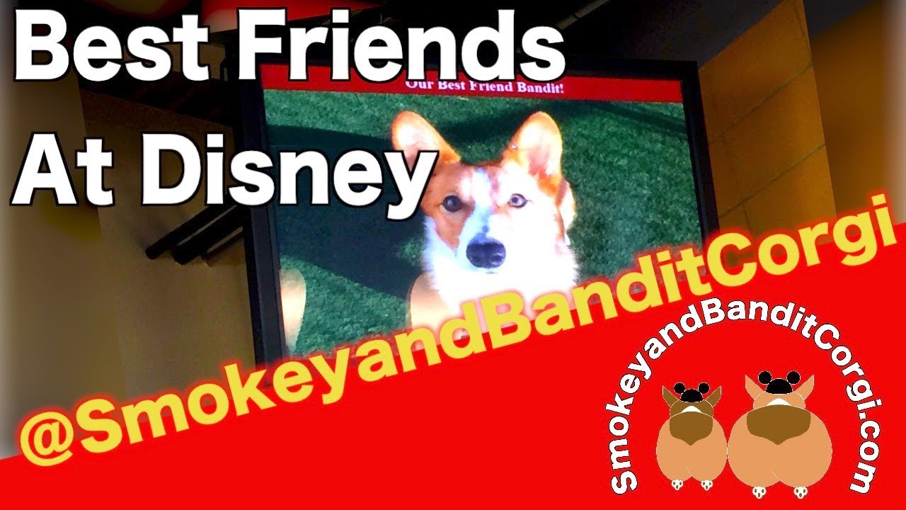 BestFriends Tips
