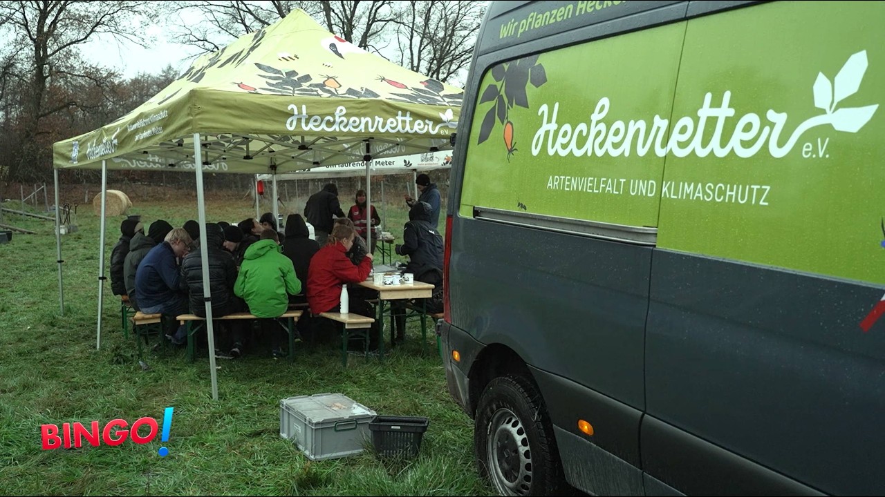 Heck Heck, Hurra! Das Heckenretter-Mobil ist da 💪🏼🌱🤠 #bingo #whattheheck #pflanzen