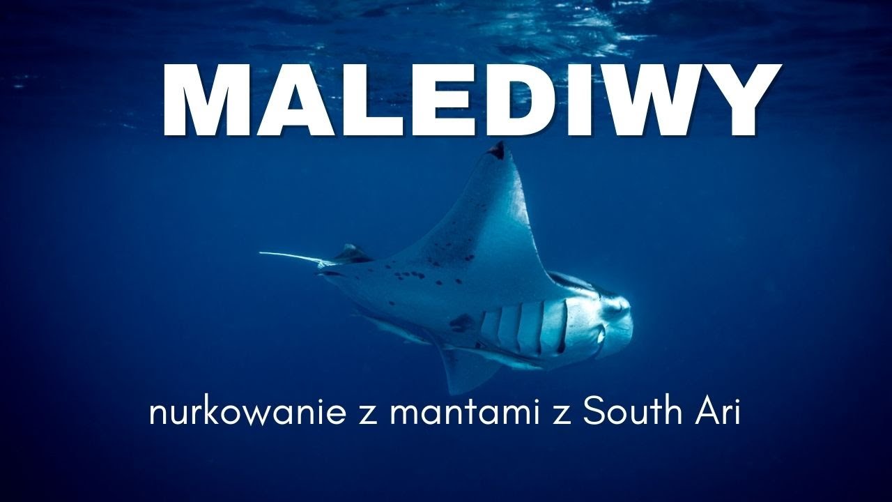 Odkryj najpiękniejszy na Malediwach - atol South Ari - zobacz tańczące manty