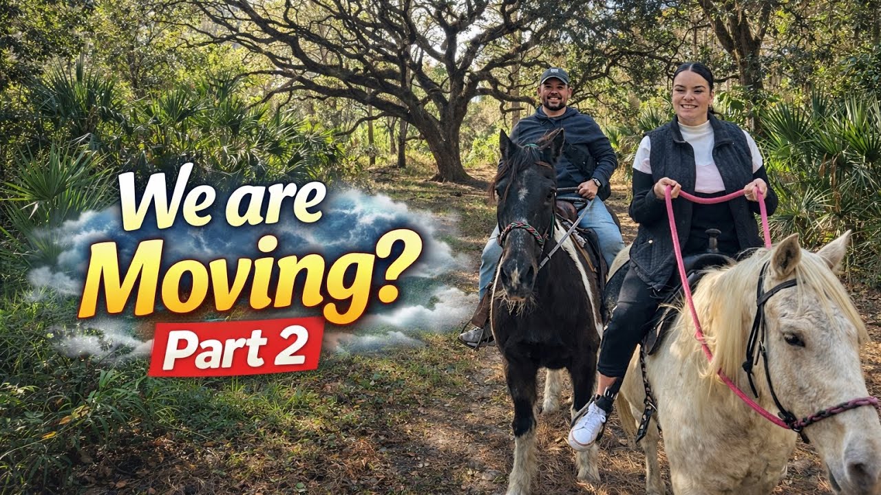 We are moving! Part 2