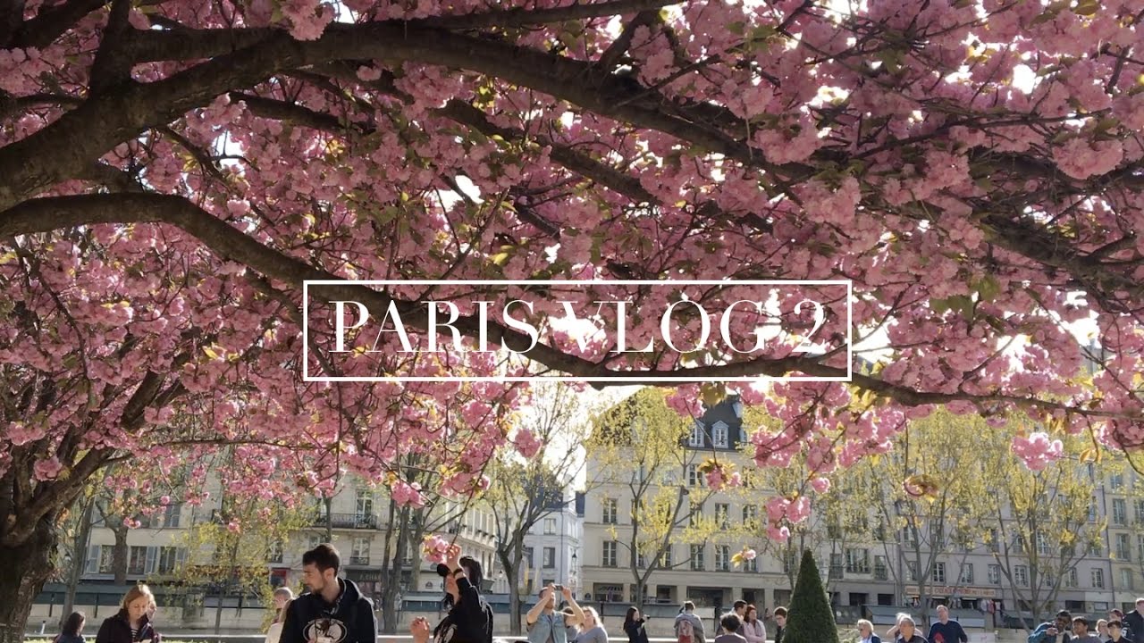 paris days 3 & 4: chill days in the city and versailles