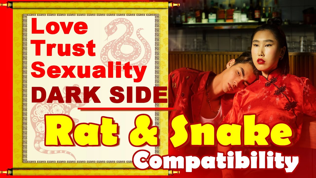 Rat and Snake Compatibility in Love, Life, Trust, and Intimacy | Rat & Snake Chinese Zodiac Compat