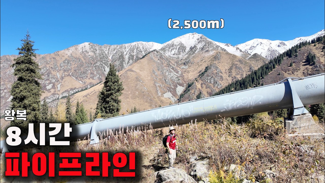 미끄러지면 끝입니다. 그럼에도 올라간 이유