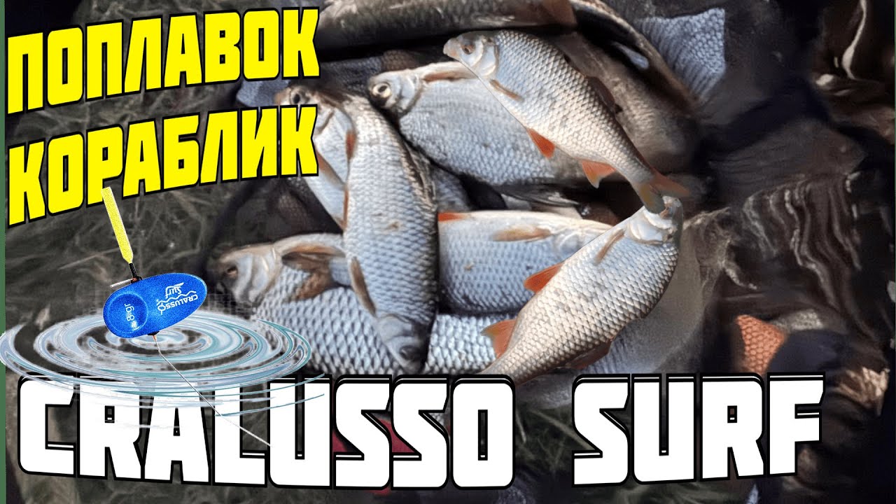 болонская ловля. cralusso surf. ловля болонским поплавком. лучший болонский поплавок. удочка