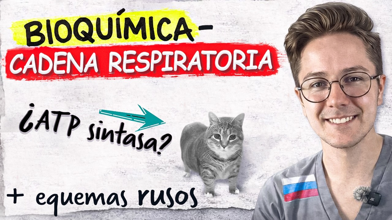 Cadena respiratoria y Fosforilación oxidativa EXPLICACIÓN FÁCIL | Cadena de transporte de electrones