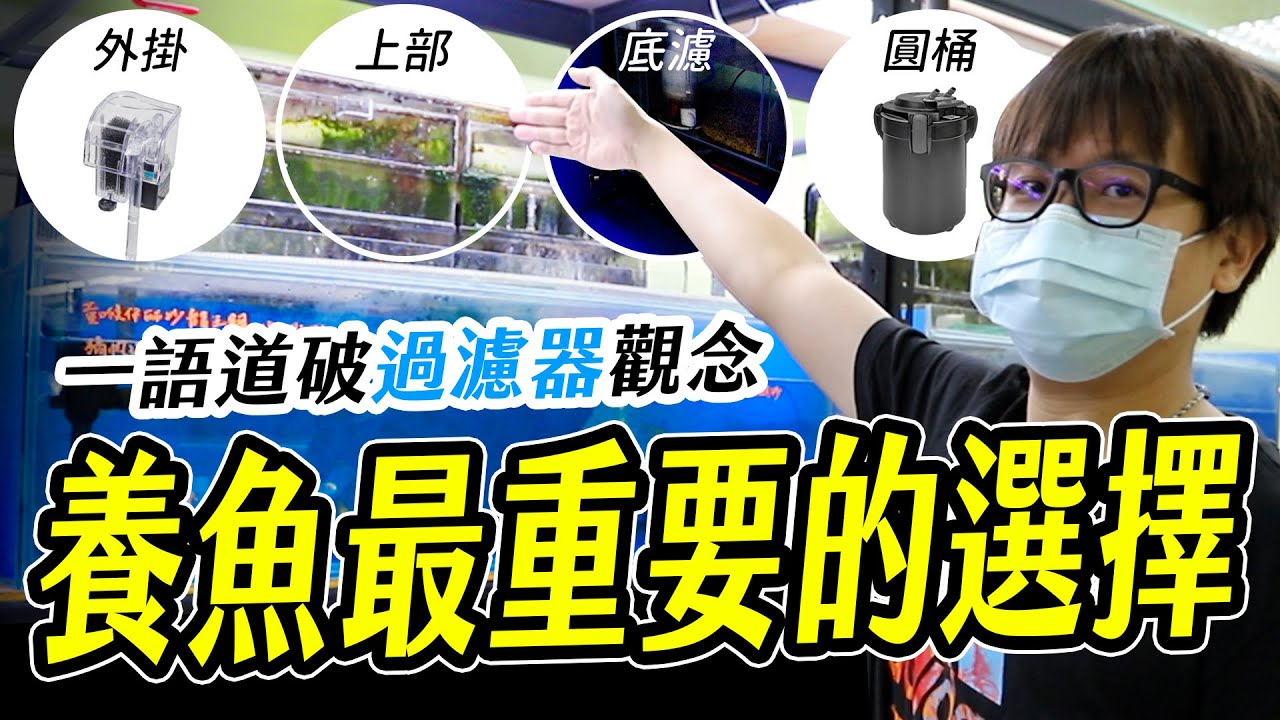 養死魚是因為你挑錯了