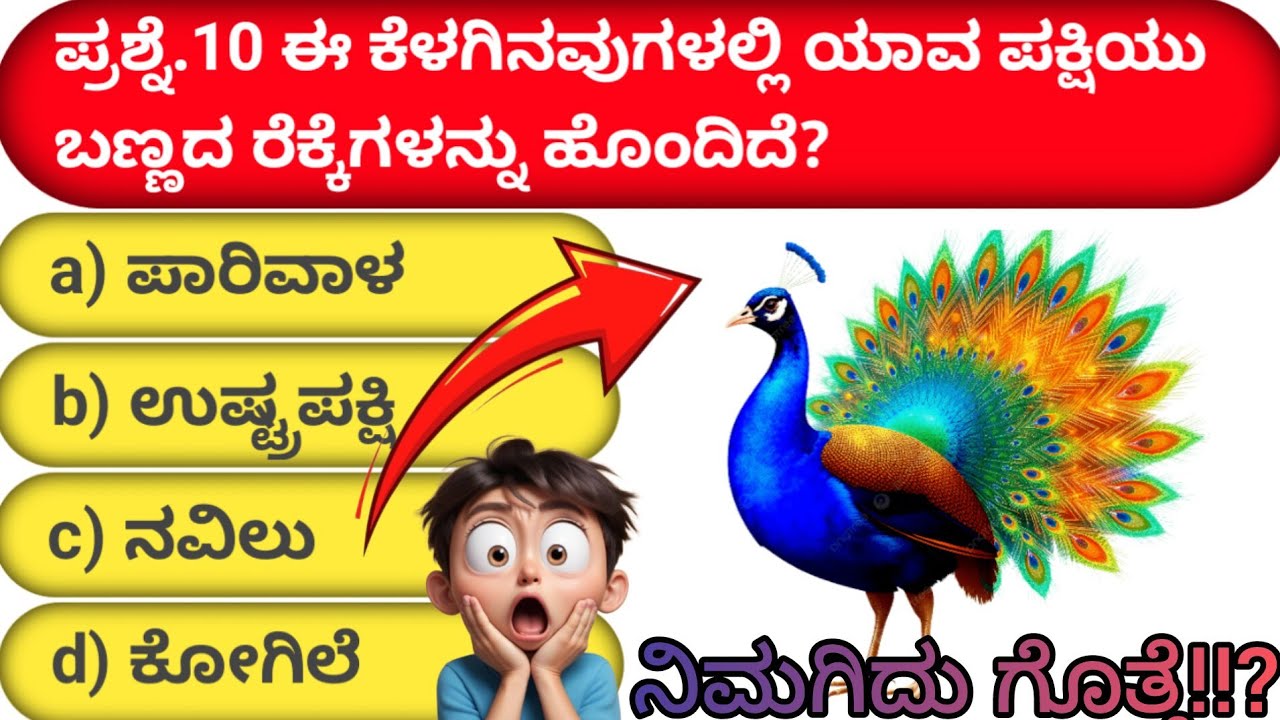 🤔ಸಾಮಾನ್ಯ ಜ್ಞಾನ (GK) ಪ್ರಶ್ನೋತ್ತರಗಳು GK Challenge 👍🔥 ಪ್ರಾಣಿ ಪಕ್ಷಿಗಳ ವಿಶೇಷತೆ 🤔😯#quiz#youtube#trending 