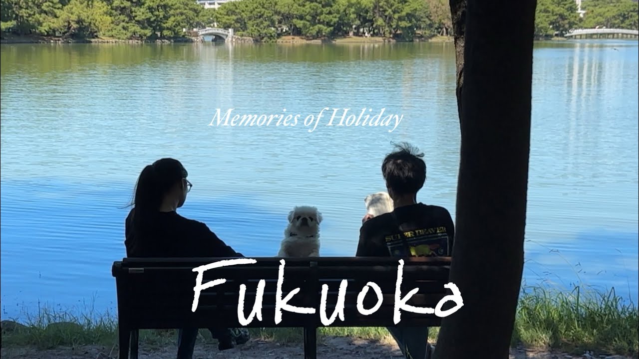 [vlog] October 2025 | 황금연휴에 떠난 첫 휴가 | 후쿠오카 브이로그 | 후쿠오카 | 와인 원정대 | fukuoka | japan | 여행 브이로그