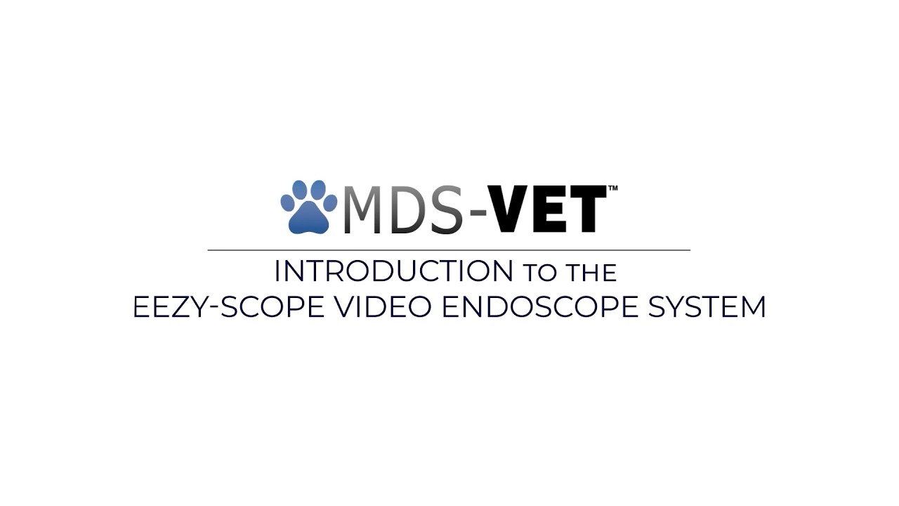 EEZY-Scope Video Endoscope System # 48070 | Semi-Disposable Bronchoscope for Small Animal Care