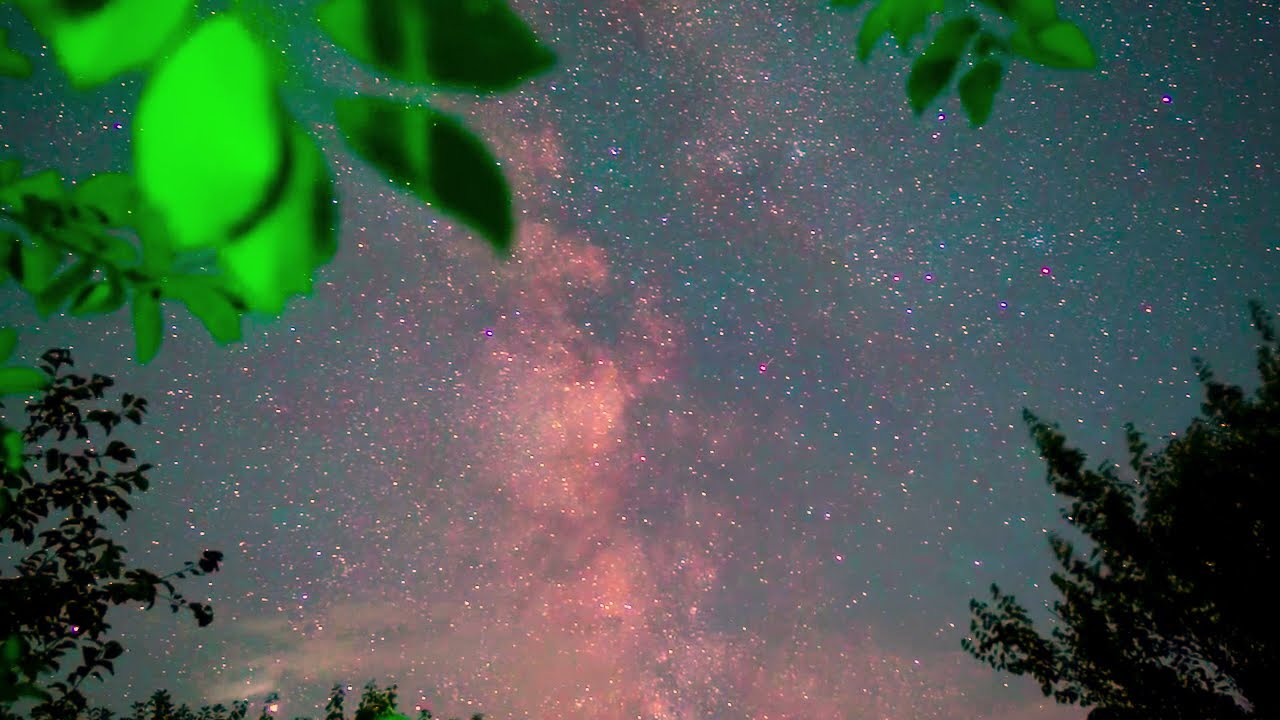 Olson Orion - FD2220 Week 3 - Video Collage