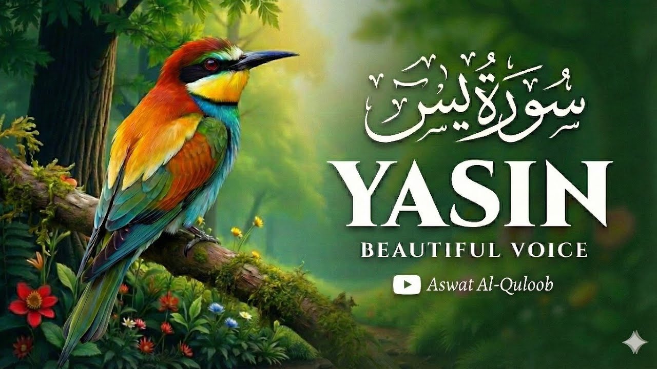 Surah Yasin | The Heart of the Quran | Beautiful & Relaxing Recitation 📖 Qari Ashraf Hussain 