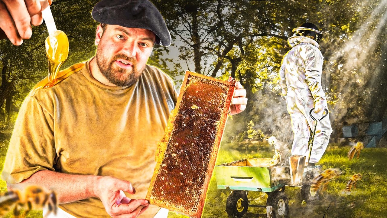 Le Miel de mes Abeilles est si Noir cette Année  🐝🍯