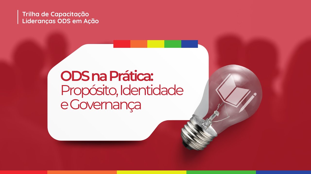 Liderança ODS em Ação -  Propósito, Identidade e Governança